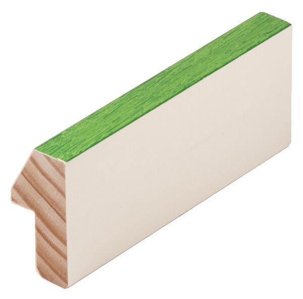DANTIK - Zrkadlo v rámu, rozmer s rámom 40x50 cm z lišty Evoque zelená (3172)