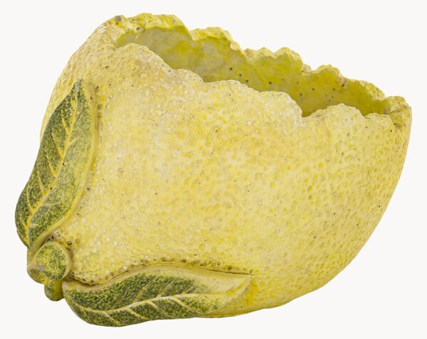 Cementový obal na kvetináč Lemon