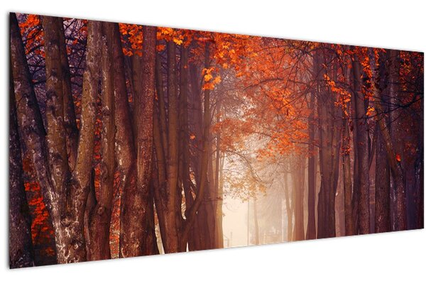Obraz - Jesenné les (120x50 cm)