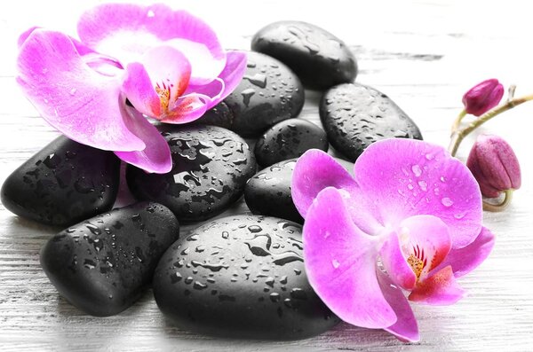 Obraz krásna súhra kameňov a orchidey