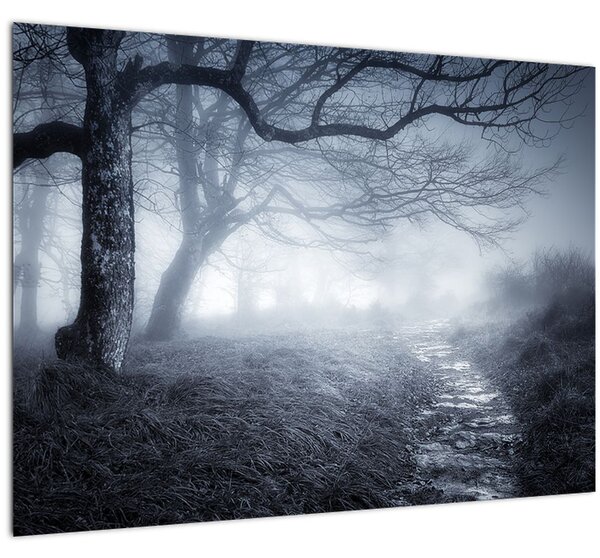 Obraz - Cesta v hmle (70x50 cm)