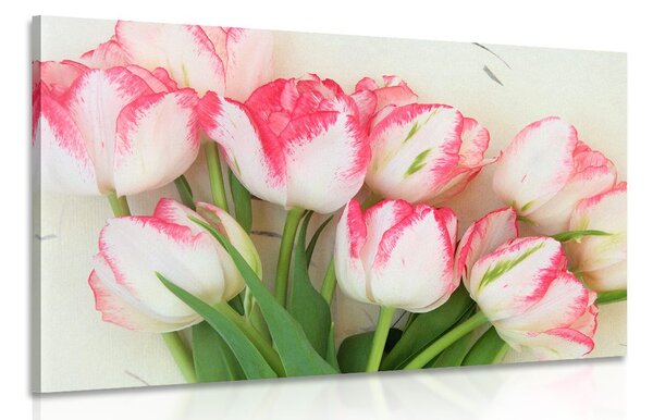 Obraz jarné tulipány