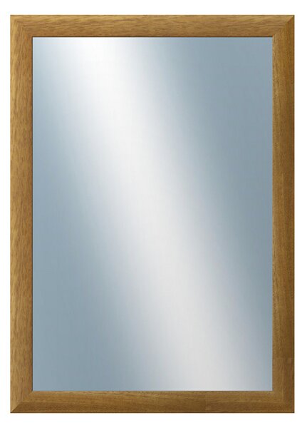 DANTIK - Zrkadlo v rámu, rozmer s rámom 50x70 cm z lišty LEDVINKA hnedá (1441)