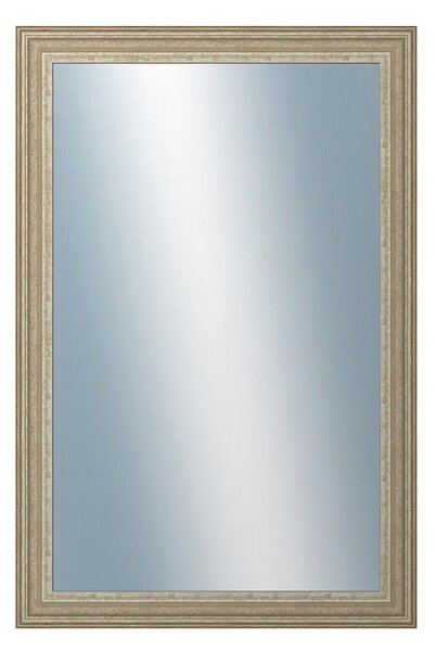 DANTIK - Zrkadlo v rámu, rozmer s rámom 40x60 cm z lišty LYON strieborná (2704)