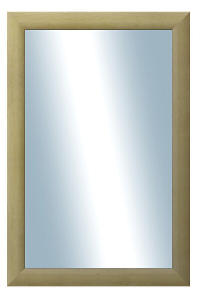 DANTIK - Zrkadlo v rámu, rozmer s rámom 40x60 cm z lišty LEDVINKA prírodná (1438)