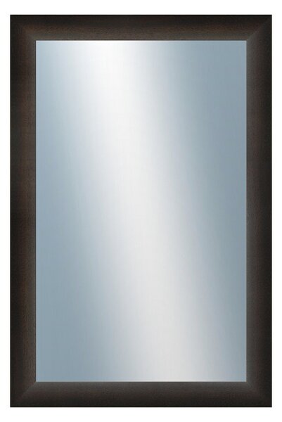 DANTIK - Zrkadlo v rámu, rozmer s rámom 40x60 cm z lišty LEDVINKA tmavo hnedá (1442)