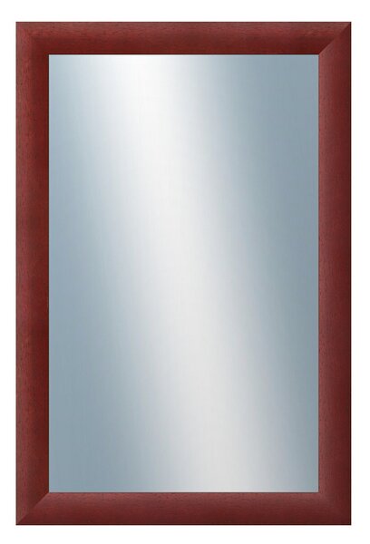 DANTIK - Zrkadlo v rámu, rozmer s rámom 40x60 cm z lišty LEDVINKA vínová (1445)
