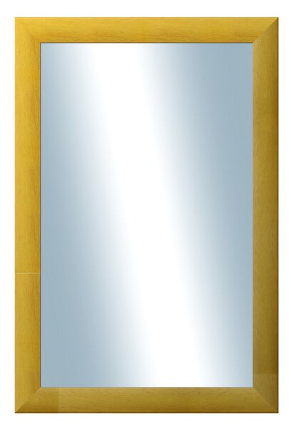 DANTIK - Zrkadlo v rámu, rozmer s rámom 40x60 cm z lišty LEDVINKA žltá (1439)