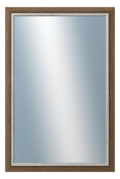 DANTIK - Zrkadlo v rámu, rozmer s rámom 40x60 cm z lišty TAIGA sv.hnedá (3106)