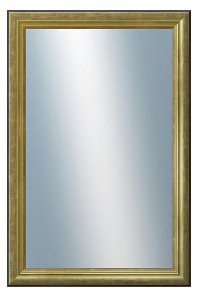 DANTIK - Zrkadlo v rámu, rozmer s rámom 40x60 cm z lišty Anversa zlatá (3151)