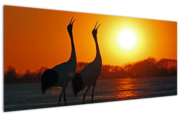 Obraz vtákov pri západe slnka (120x50 cm)