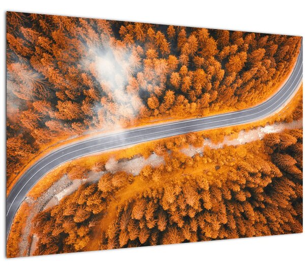 Obraz - Horská cesta (90x60 cm)
