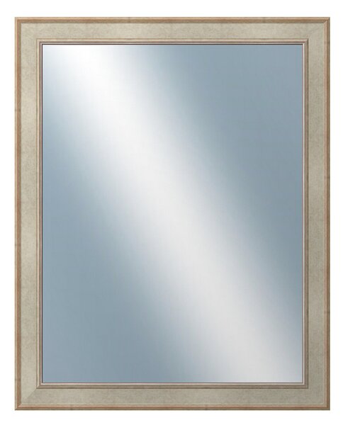 DANTIK - Zrkadlo v rámu, rozmer s rámom 80x100 cm z lišty TOOTH strieborná (2779)