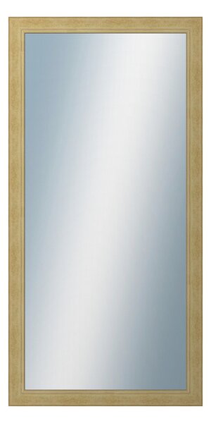 DANTIK - Zrkadlo v rámu, rozmer s rámom 50x100 cm z lišty ANDRÉ veľká starostrieborná (3156)