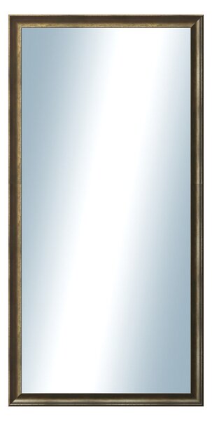 DANTIK - Zrkadlo v rámu, rozmer s rámom 60x120 cm z lišty Ferrosa bronzová (3143)