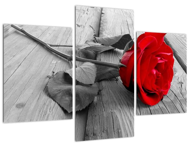 Obraz červených ruží (90x60 cm)