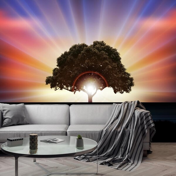 Fototapeta - Strom v žiari slnka (147x102 cm)