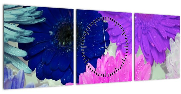 Obraz farebných kvetín (s hodinami) (90x30 cm)