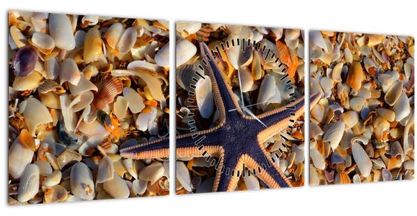 Obraz morskej hviezdice (s hodinami) (90x30 cm)