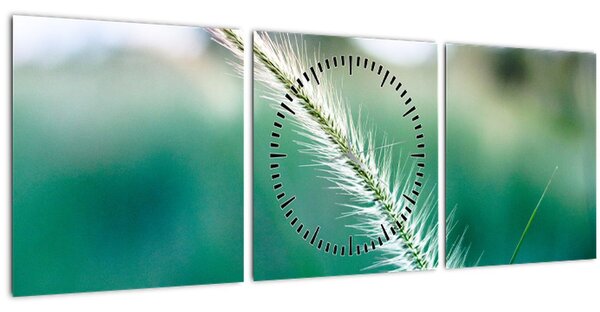 Obraz steblá trávy (s hodinami) (90x30 cm)