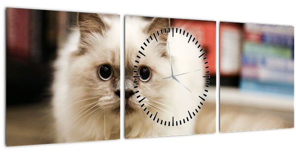 Obraz bielej mačky (s hodinami) (90x30 cm)