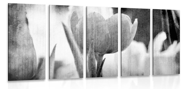 5-dielny obraz lúka tulipánov v retro štýle v čiernobielom prevedení