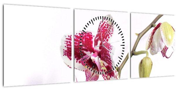 Obraz kvetu orchidey (s hodinami) (90x30 cm)