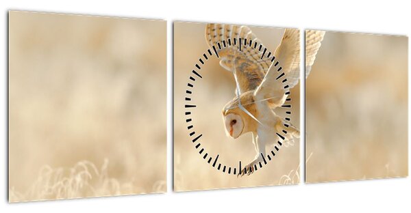 Obraz - Sova pálená (s hodinami) (90x30 cm)