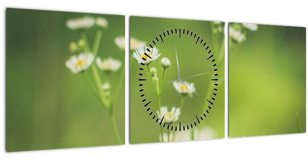 Obraz Sedmokrásky (s hodinami) (90x30 cm)