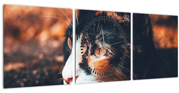 Obraz - Pohľad mačky (s hodinami) (90x30 cm)
