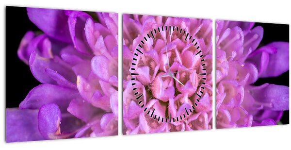 Detailný obraz kvetu (s hodinami) (90x30 cm)