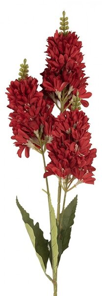Dekorácia umelý kvet s vínovým kvetom - 10*7*74 cm - Clayre & Eef