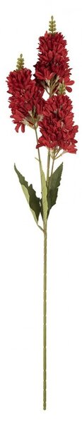 Dekorácia umelý kvet s vínovým kvetom - 10*7*74 cm - Clayre & Eef