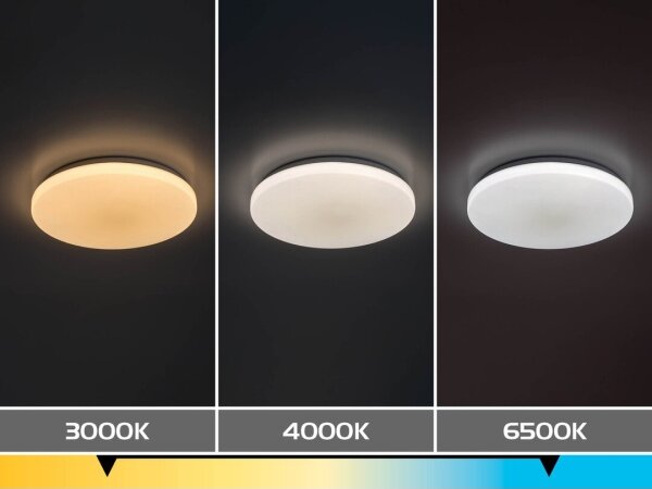 Rabalux 71442 - LED stmievateľné stropné svietidlo DANNY 2 LED/34W/230V 3000-6500K pr. 38 cm + diaľkové ovládanie