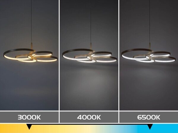 Rabalux 72401 - LED stmievateľný luster na lane ISIDORA 70W/230V 3000-6500K+diaľkový ovládač