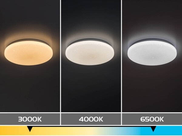 Rabalux 71445 - stmievateľné LED stropné svietidlo DANNY 2 LED/22W/230V 3000-6500K priemer 33 cm + diaľkové ovládanie