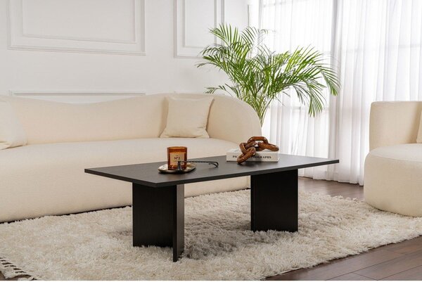 Čierny matný konferenčný stolík 60x119 cm Sabin – Kalune Design