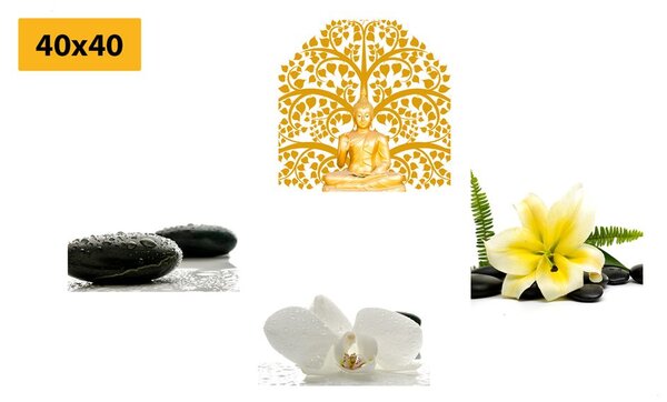 Set obrazov jemné zátišie Feng Shui