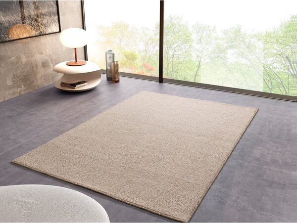 Biely koberec 160x230 cm Petra Liso – Universal