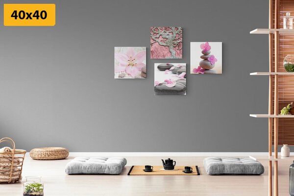 Set obrazov Feng Shui v jemnom prevedení