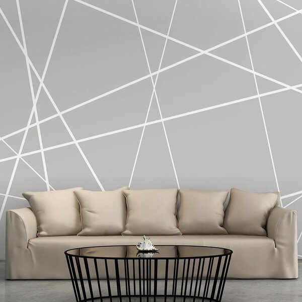 Fototapeta moderná pavučina - Modern Cobweb - 100x70