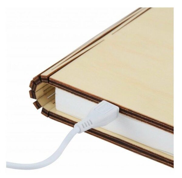 Hnedá svetelná dekorácia na USB Booklight – Gingko