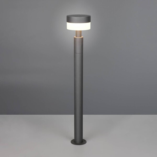 Trio Lighting Chodníkové LED svetlo Mackenzie, výška 95 cm, antracitová, hliníková liatina, Čierna, Hliník, Moderný, Osvetlenie príjazdovej cesty