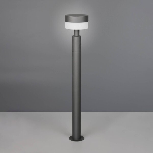 Trio Lighting Chodníkové LED svetlo Mackenzie, výška 95 cm, antracitová, hliníková liatina, Čierna, Hliník, Moderný, Osvetlenie príjazdovej cesty