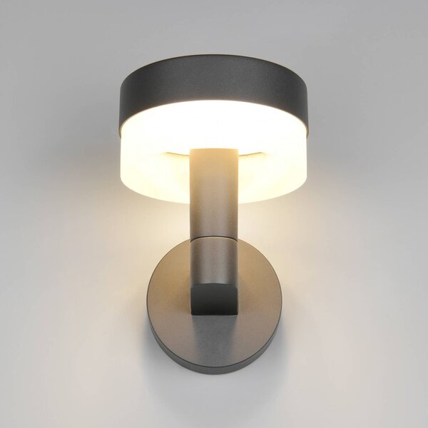 Trio Lighting LED vonkajšie nástenné svietidlo Mackenzie, antracitová, hliník tlakovo liaty, Čierna, Hliník, Moderný, Nástenné svietidlo