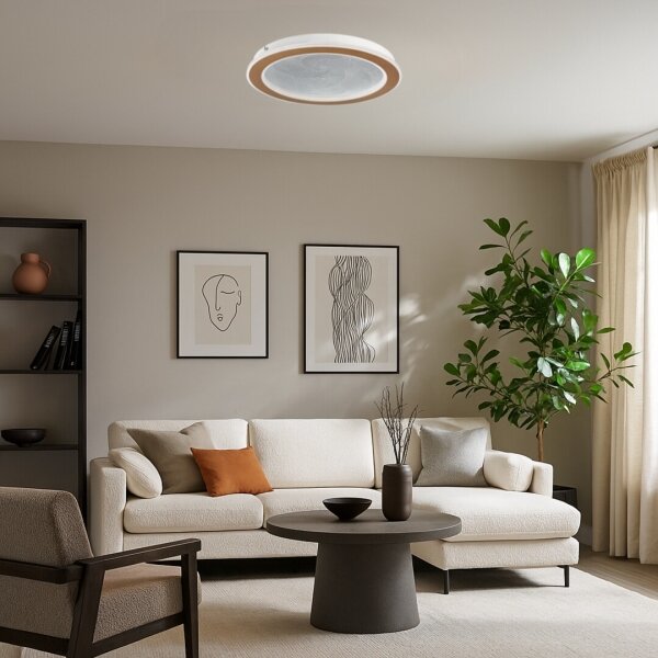 Rabalux 71281-LED stmievateľné stropné svietidlo ZOFRAEL 24W/230V 3000-6500K pr.40cm+DO
