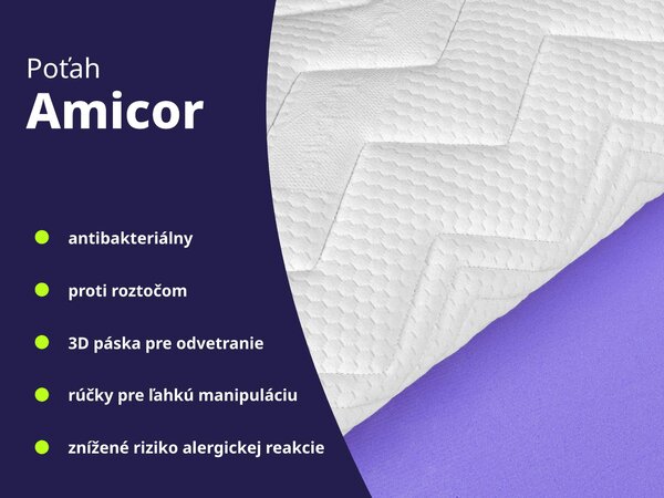 Wilsondo Ergonomický penový matrac Purion 80x200