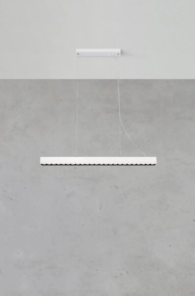 Markslöjd 108892 - LED stmievateľný luster na lanku PLANO LED/38W/230V biela