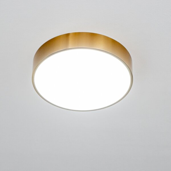 Brilagi - LED kúpeľňové stropné svietidlo POOL LED/24W/230V pr. 30 cm IP54 bronz