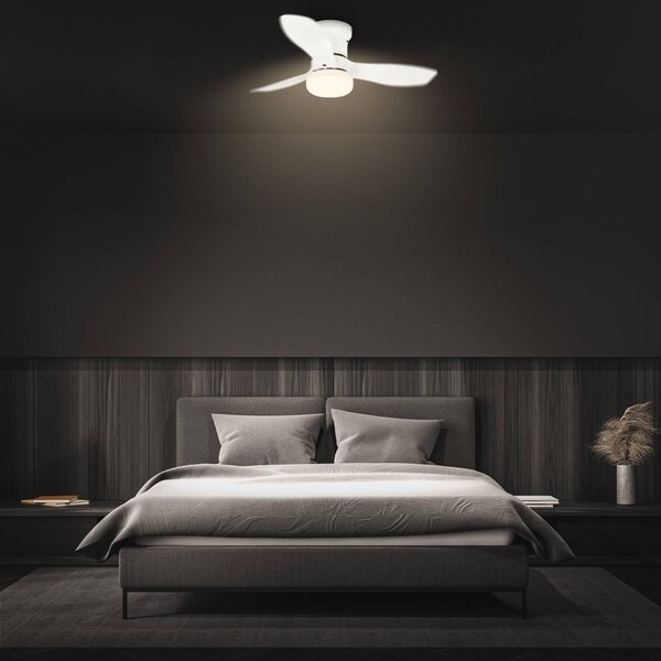 Briloner Stropný ventilátor s LED osvetlením Pan, jednosmerný motor, biely, Ø 60 cm,, Biela / opálová, Spálňa, Plast, Moderný